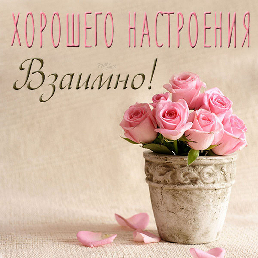 Нежная картинка хорошего настроения, взаимно!
