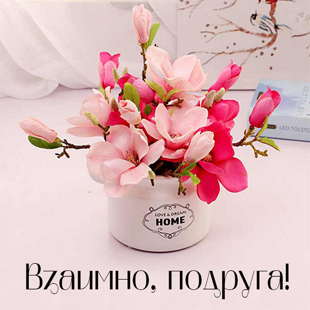 Взаимно, подруга!