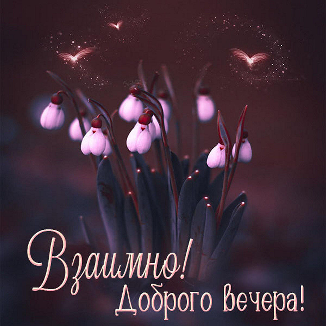 Открытка взаимно доброго вечера!