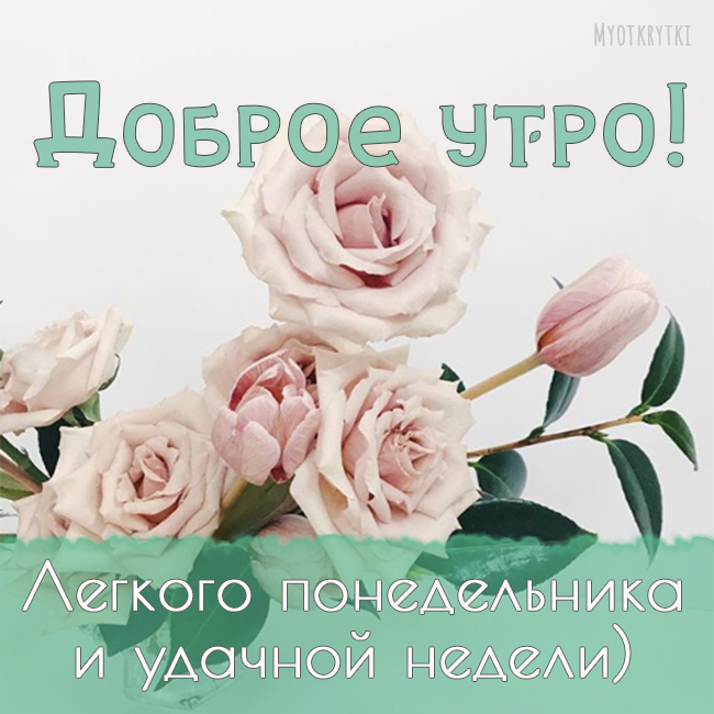 Доброе утро понедельника и удачной недели картинки. Стильные открытки с понедельником.