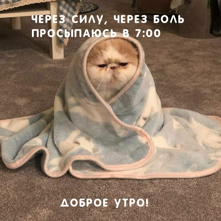 Картинки с добрым утром прикольные