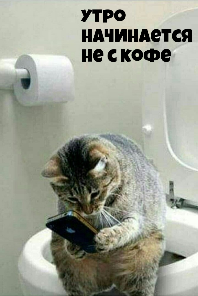 Доброе утро прикольные картинки с надписями.