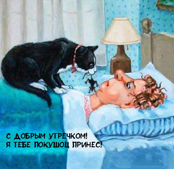 Картинка "Доброе утро!" с прикольной кошкой скачать и отправить...