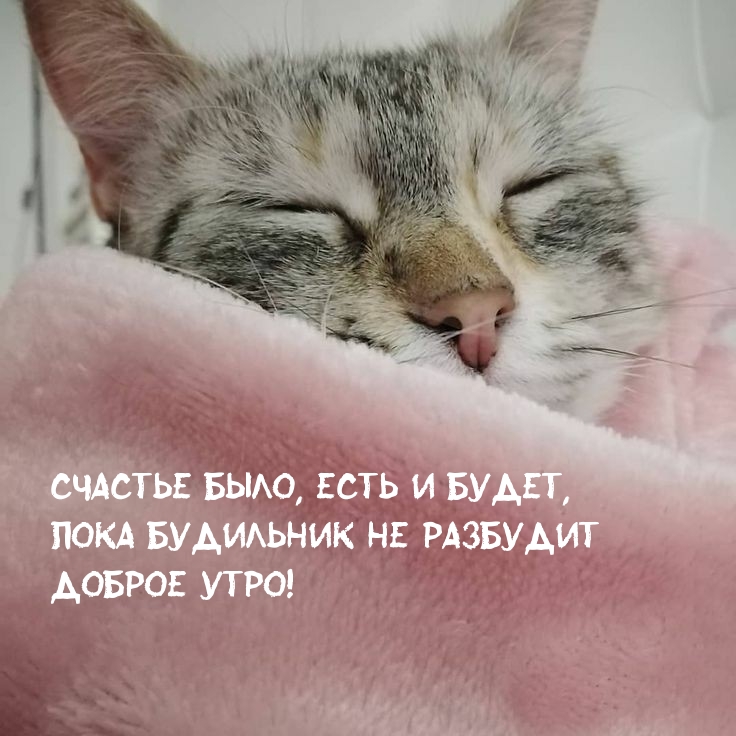 Прикольные и необычные картинки с добрым утром.