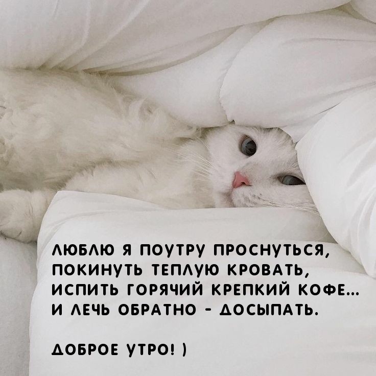 Пожелания доброго утра прикольные.