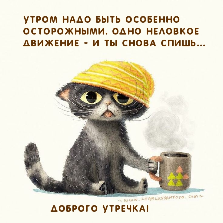 Кошачий Арт, Гринч, Доброе Утро, Шутки, Шутки, Кошки, Картинки. Картинки с добрым утром прикольные.