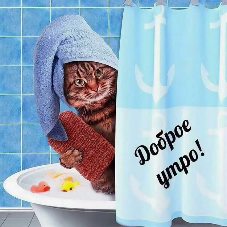 Доброе утречко прикольные картинки (30 фото).