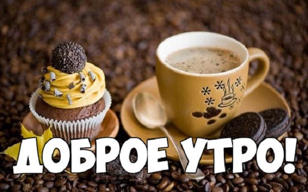 Пожелания доброго утра прикольные, Поздравления с добрым утром прикольные.