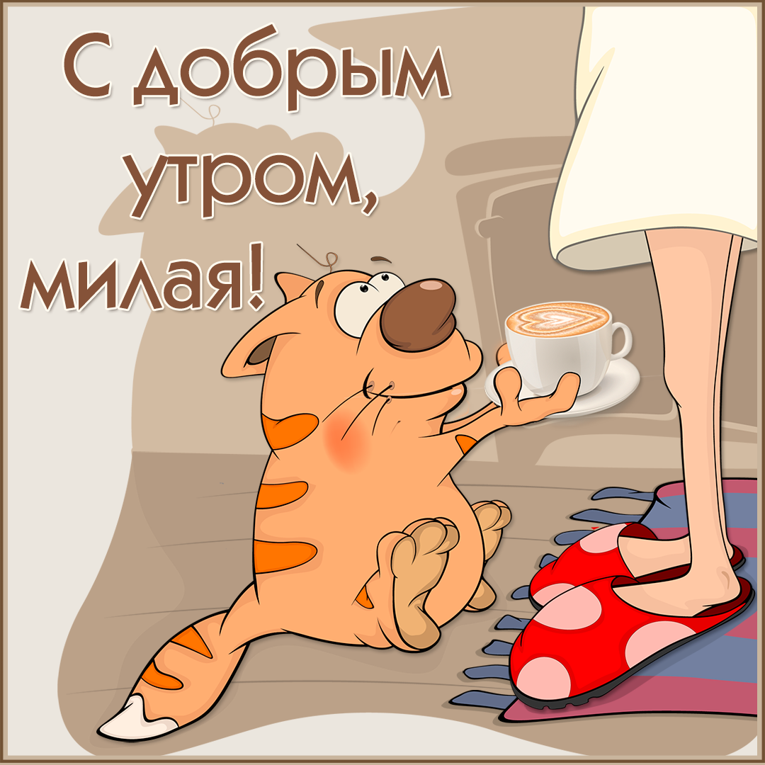 Пожелания доброго утра прикольные