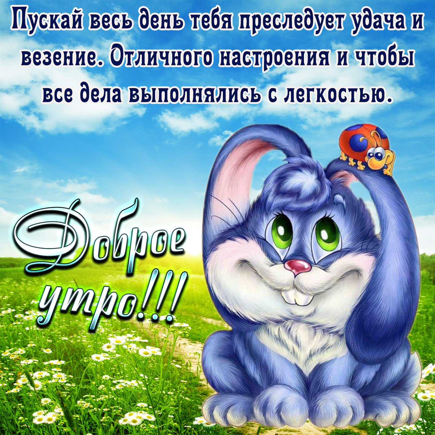 Смешные пожелания доброго утра.
