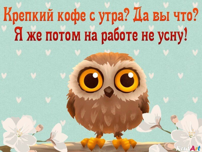Веселые картинки с добрым утром.