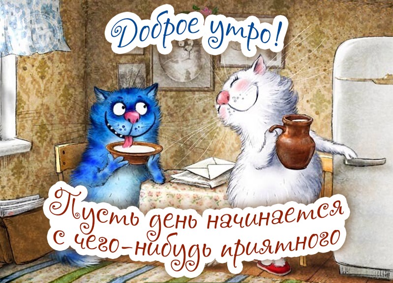Красивая картинка с синими котами от Рины Зенюк с пожеланием доброго утра