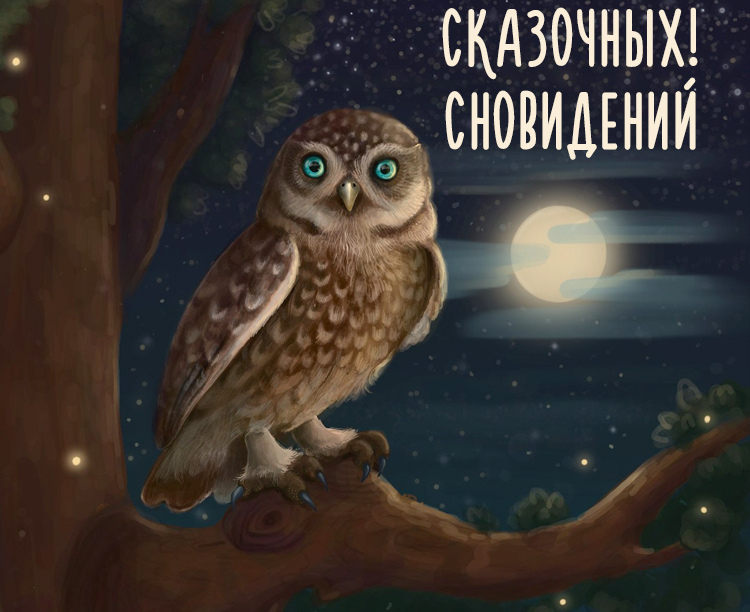 Красивая картинка с совой и пожеланием сказочных сновидений!