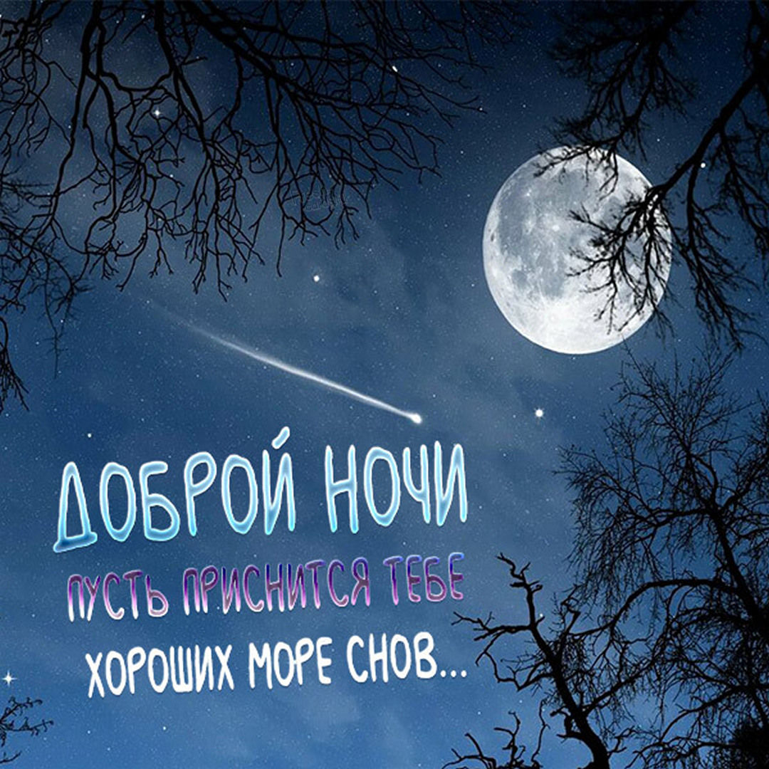 Доброй ночи, пусть тебе присниться море хороших снов...