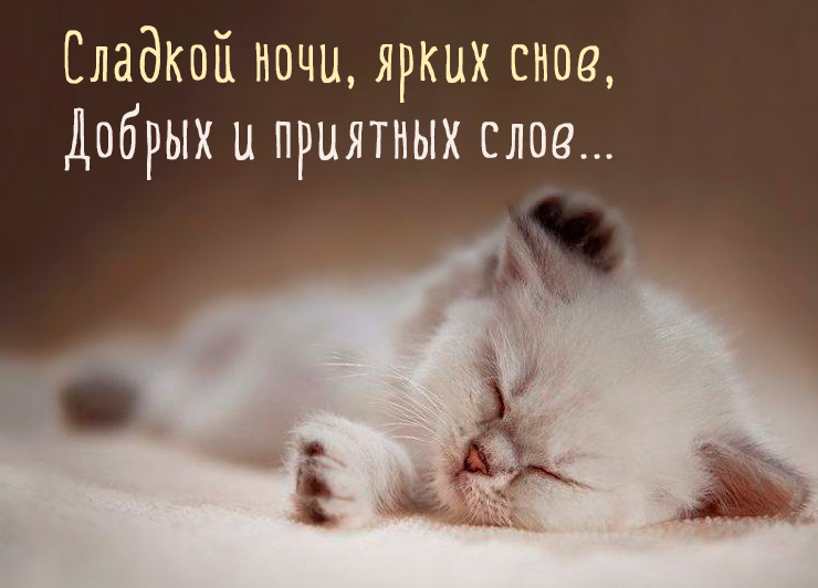 Сладкой ночи, ярких снов, добрых и приятных слов...