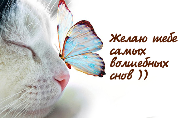 Открытка желаю тебе самых волшебных снов! Открытка желаю тебе самых волшебных снов!