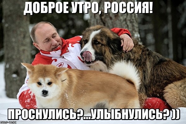 Пожелание с добрым утром от Путина, Открытка с добрым утром от Путина.
