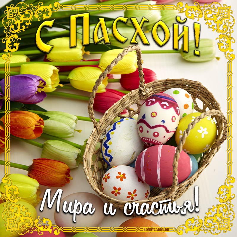 Картинка с тюльпанами на Пасху, мира и счастья. Картинка с тюльпанами на Пасху, мира и счастья.
