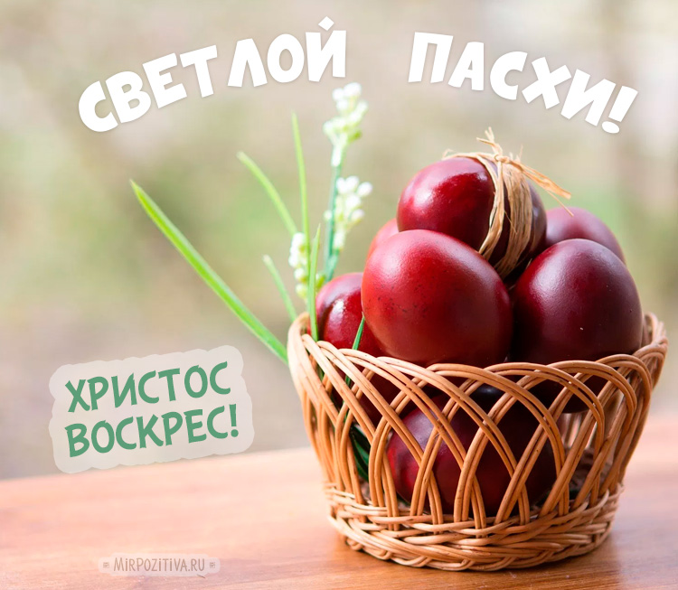 Поздравления с Пасхой Христовой Поздравления с Пасхой Христовой