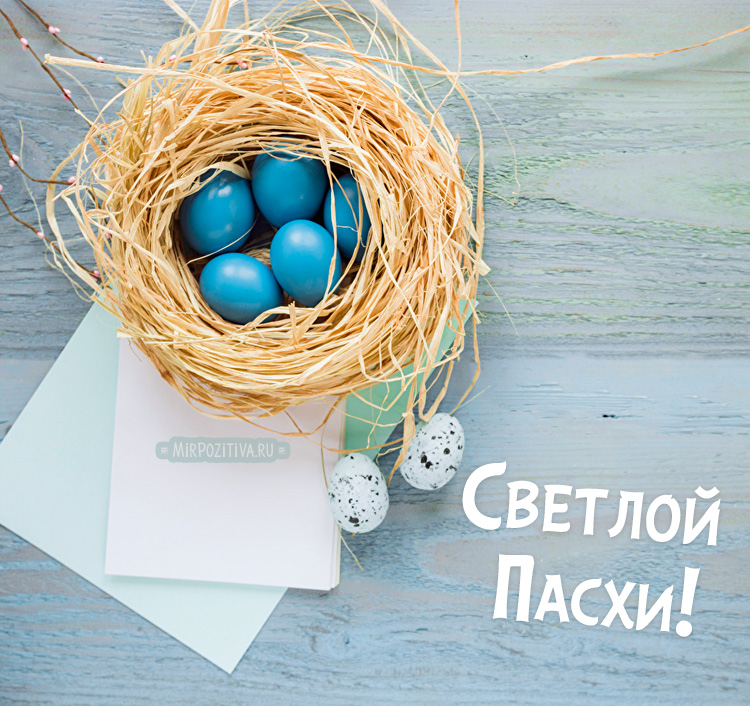 Красивые открытки с Пасхой Христовой 24 апреля 2022 года. Красивые открытки с Пасхой Христовой 24 апреля 2022 года.
