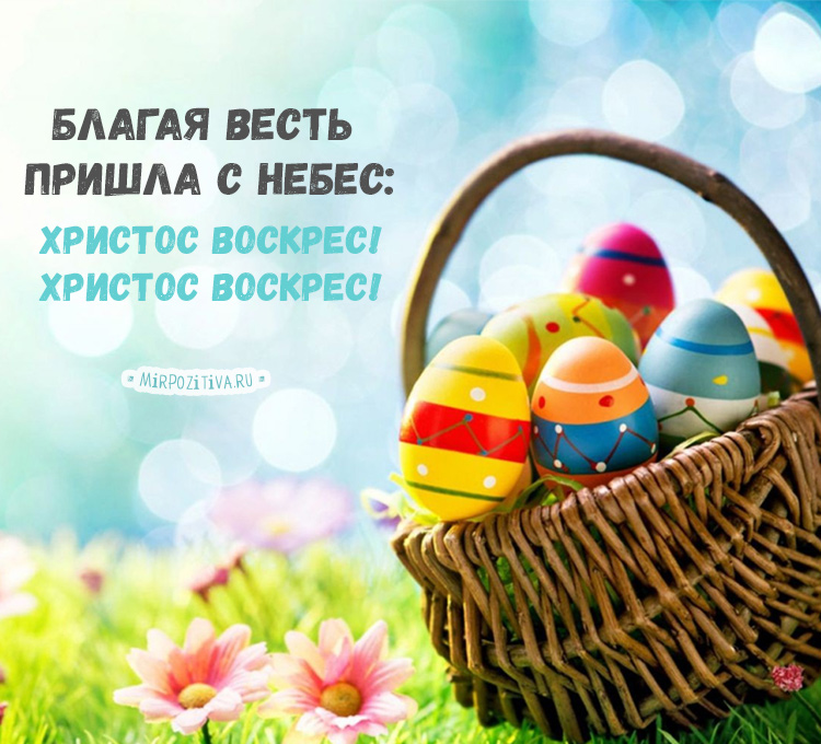 Картинка с праздником Пасхи - Пасха открытка для поздравления. Картинка с праздником Пасхи - Пасха открытка для поздравления.
