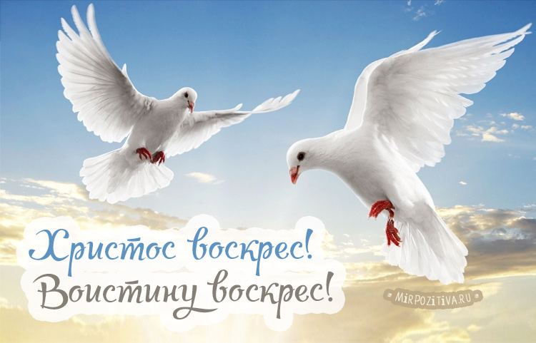 Поздравляю всех со светлым праздником Пасхи! Поздравляю всех со светлым праздником Пасхи!