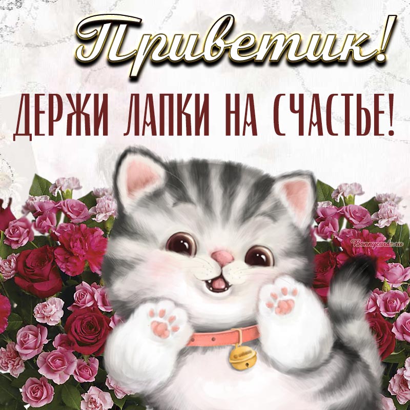 Надпись безоблачного счастья на фоне неба и цветов. Надпись безоблачного счастья на фоне неба и цветов.