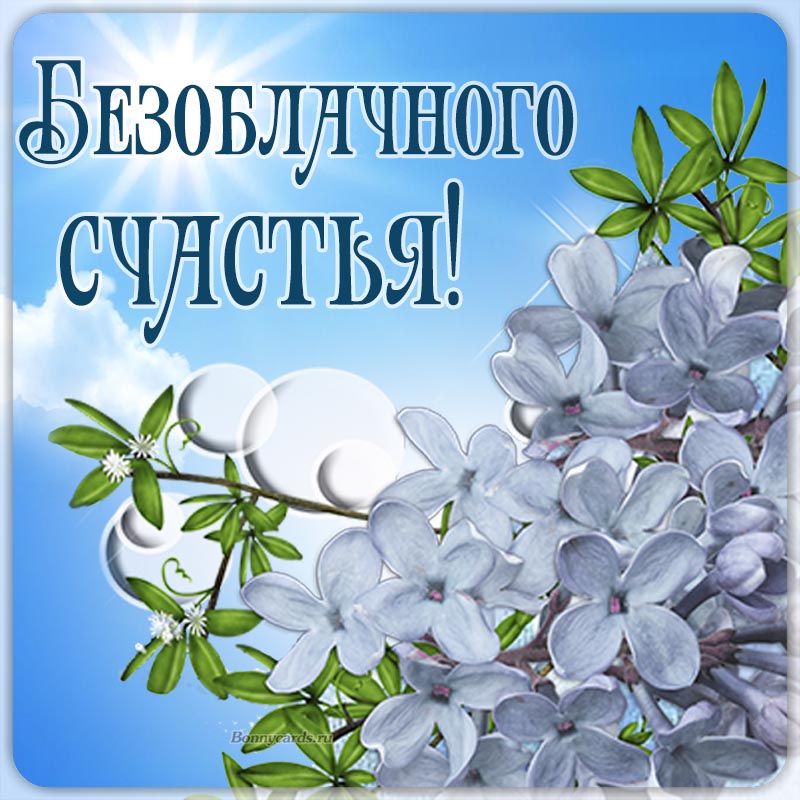 Картинка с букетиком ромашек в вазе и бантом. Картинка с букетиком ромашек в вазе и бантом.