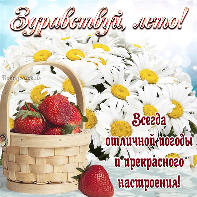 Открытка здравствуй лето с клубникой и ромашками.