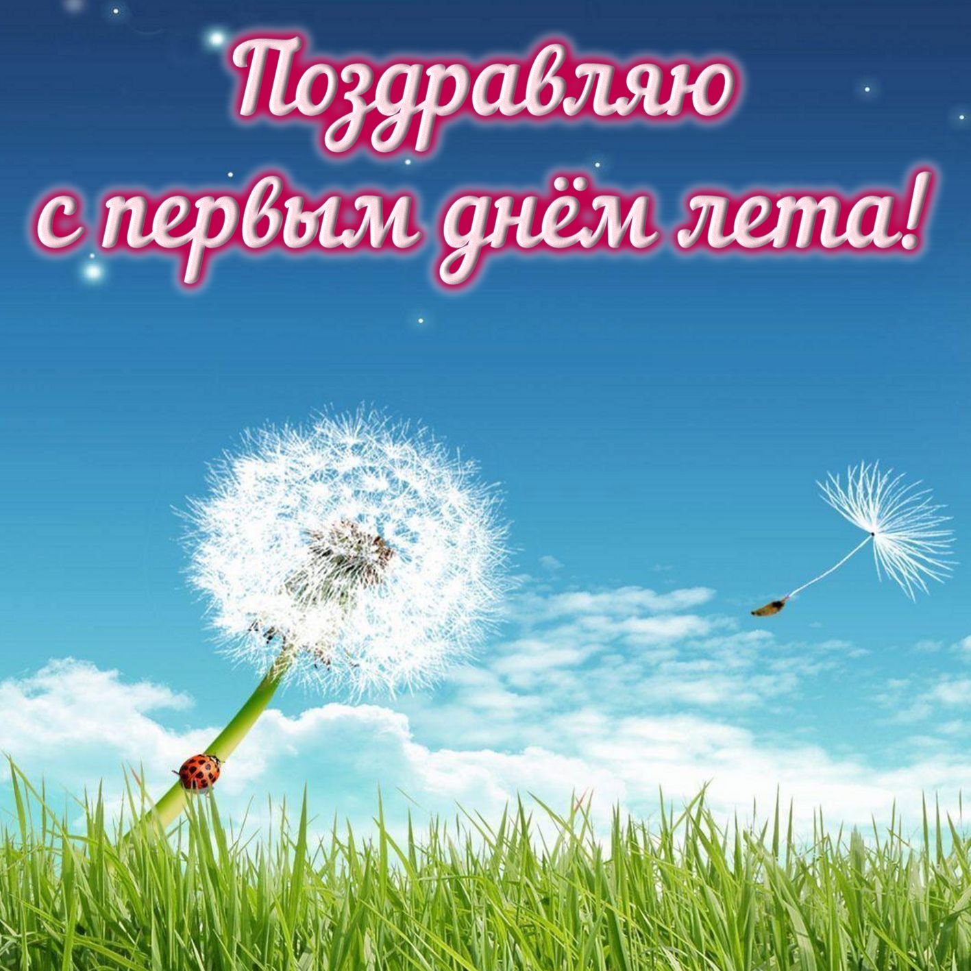 Одуванчик на фоне бескрайнего неба.