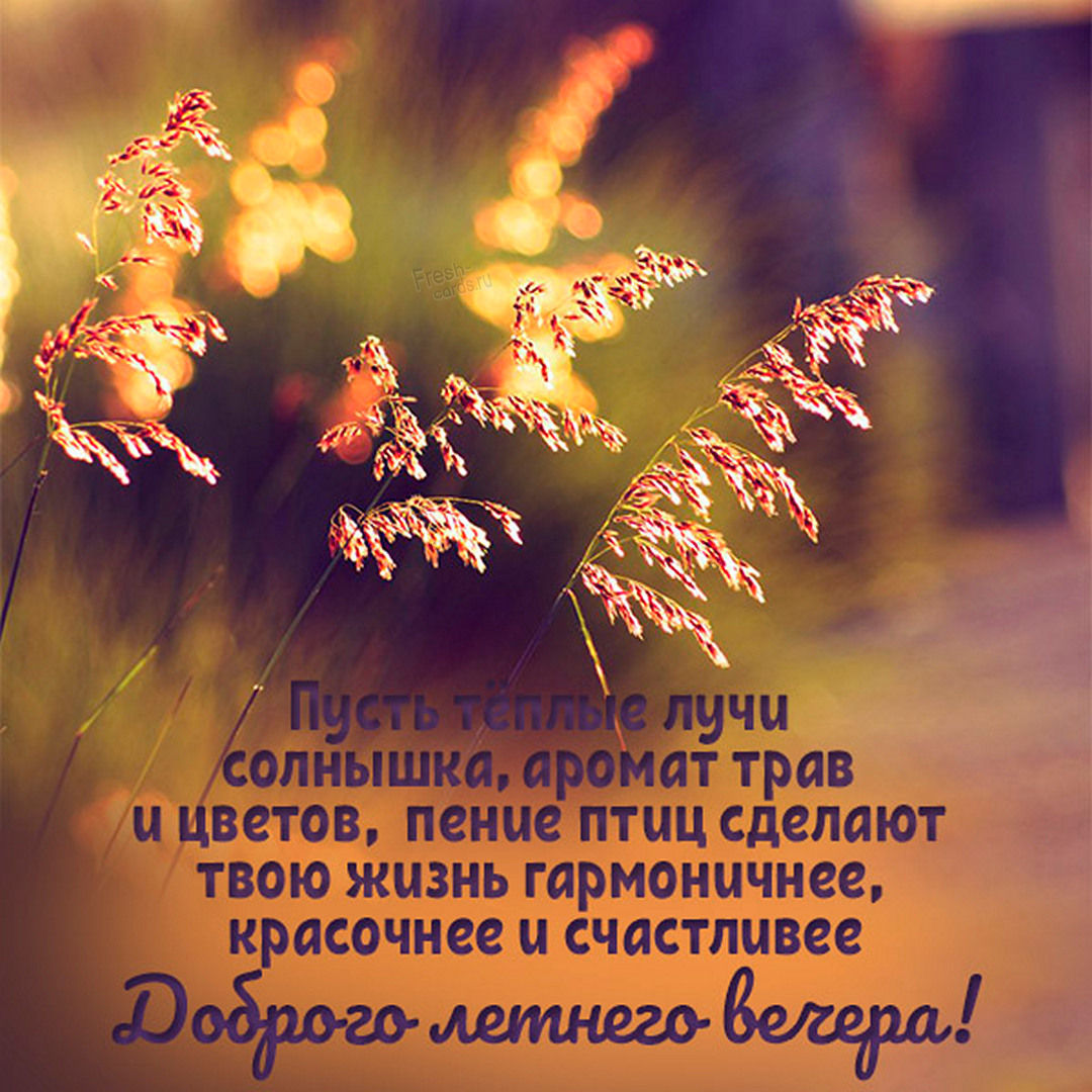 Приятного летнего вечера!