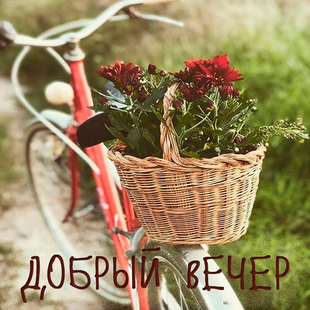 Летние картинки "Добрый вечер!"