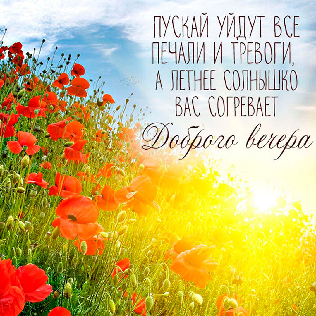 Приятного летнего Вечерка