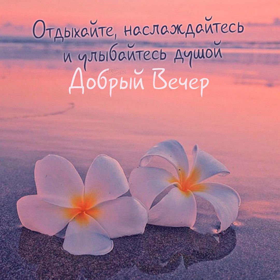 Выбирайте картинки для пожелания хорошего летнего вечера, которые уже прямо сейчас вы можете скачать и отправить