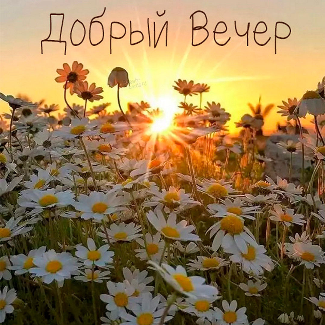 Прекрасного июльского вечера