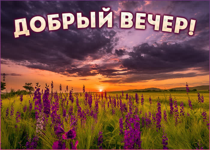 Красивая картинка добрый Июньский вечер.