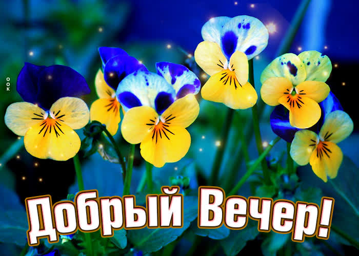 Изящная картинка добрый вечер с летними цветами.