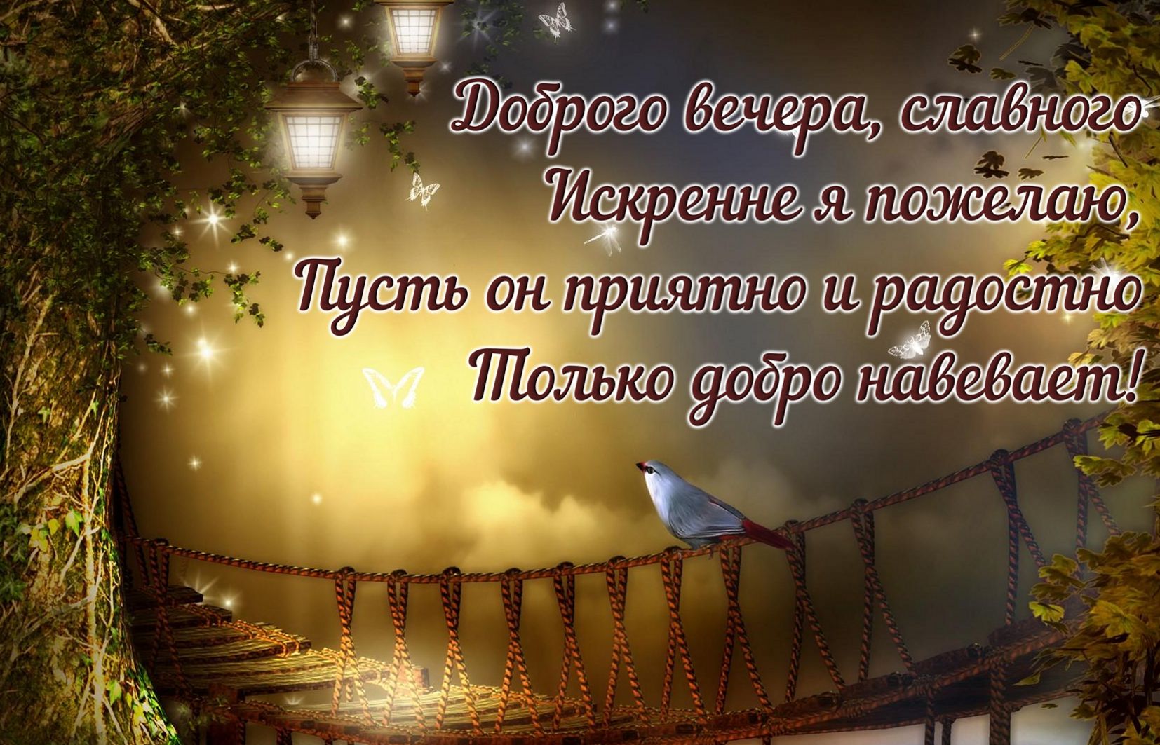 Пожелание славного доброго вечера.