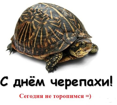 Красивые открытки с всемирным днем черепах, порадуйте друзей и близких. Красивые открытки с всемирным днем черепах, порадуйте друзей и близких.