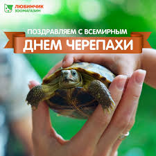 Скачайте или отправьте бесплатно любую открытку с нашего сайта! Скачайте или отправьте бесплатно любую открытку с нашего сайта!