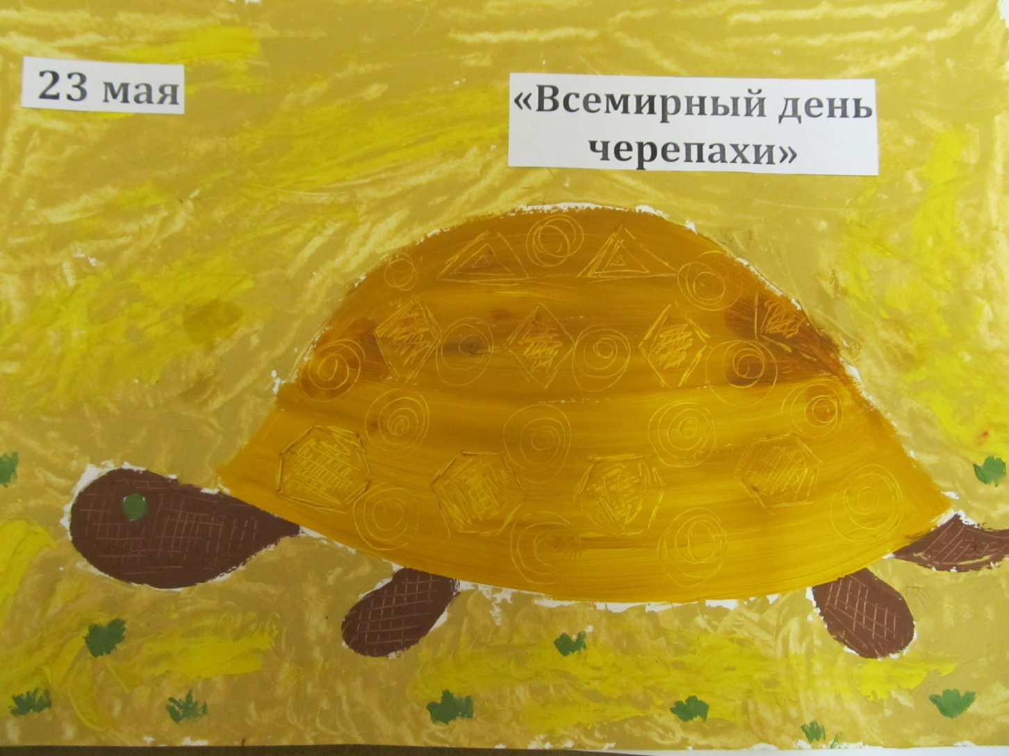 День черепахи 23 мая День черепахи 23 мая