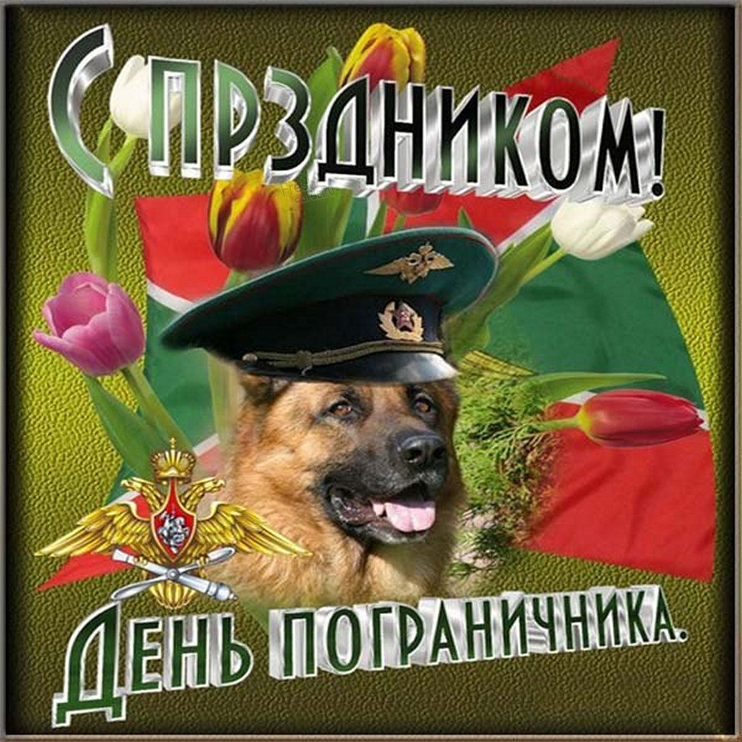 С днём пограничника поздравления. С днём пограничника поздравления.