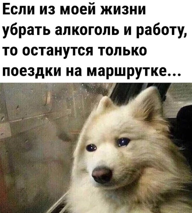 Хостинг картинок yapx.ru