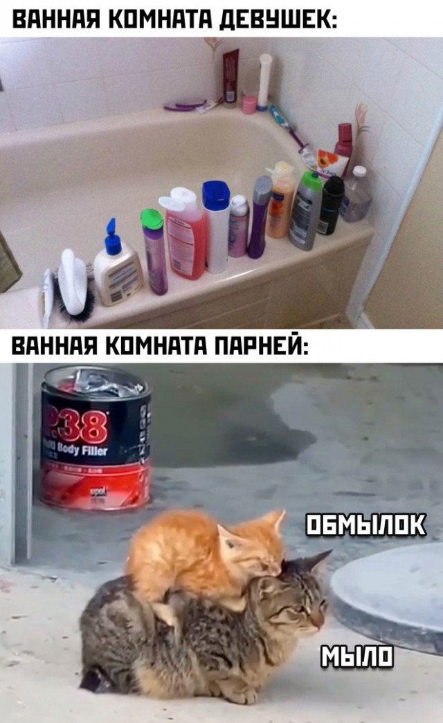 Хостинг картинок yapx.ru