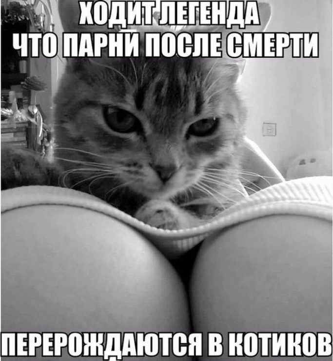 Хостинг картинок yapx.ru