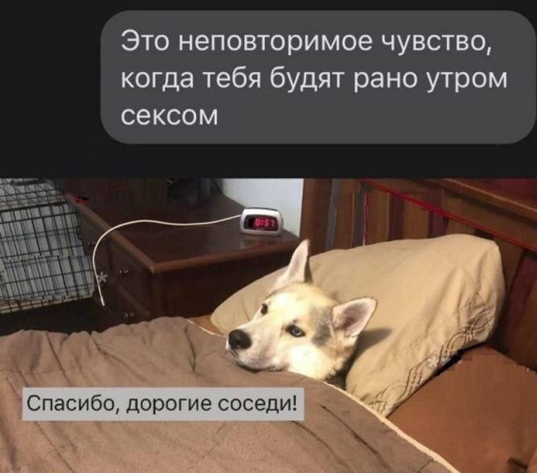 Хостинг картинок yapx.ru