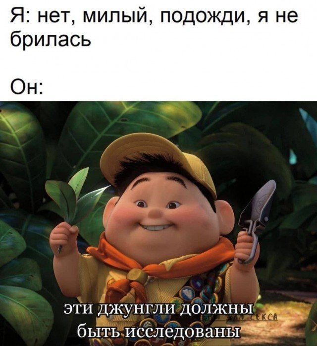 Хостинг картинок yapx.ru