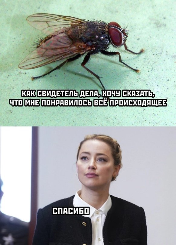 Хостинг картинок yapx.ru