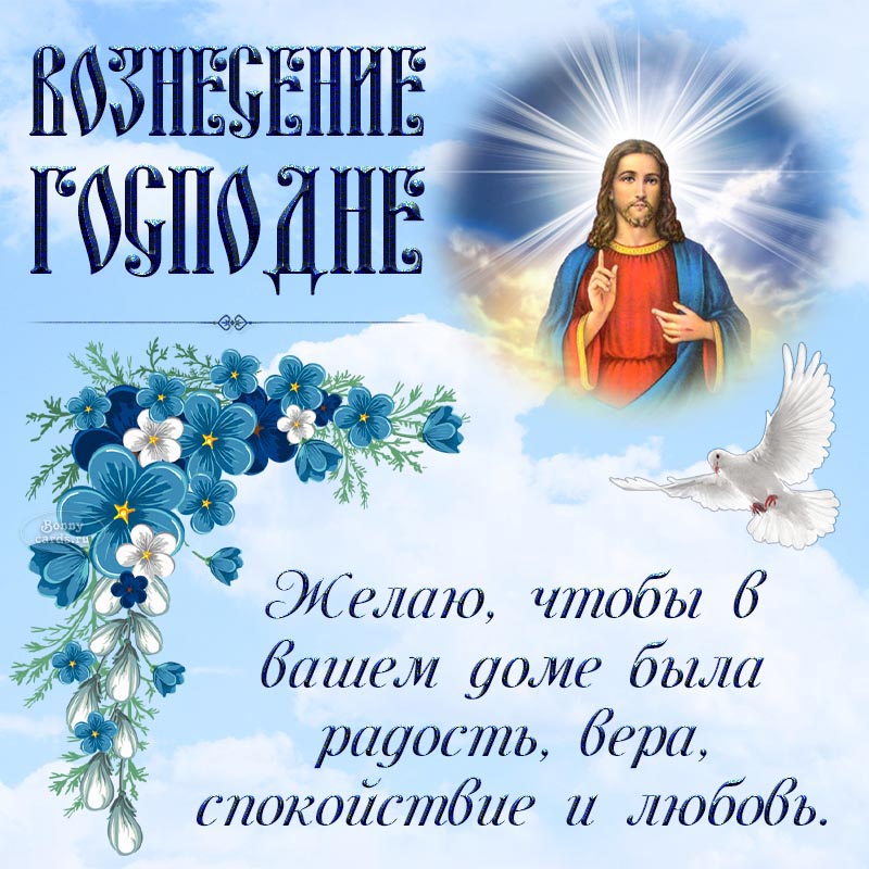 Милые цветы и поздравление на Вознесение Господне. Милые цветы и поздравление на Вознесение Господне.