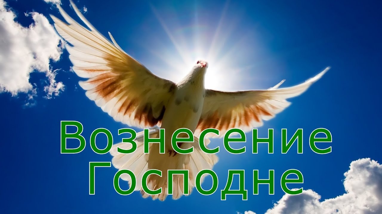 Вознесение Господне 2022: картинки, гифки, открытки с наилучшими пожеланиям... Вознесение Господне 2022: картинки, гифки, открытки с наилучшими пожеланиям...